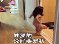 浙江君驰科技有限公司