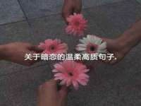 浙江君驰科技有限公司