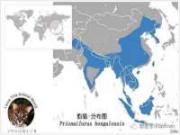 浙江君驰科技有限公司