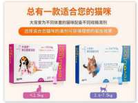 浙江君驰科技有限公司