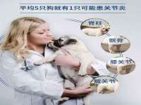 浙江君驰科技有限公司