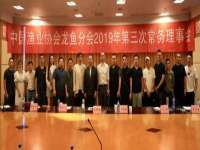 浙江君驰科技有限公司