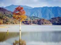浙江君驰科技有限公司