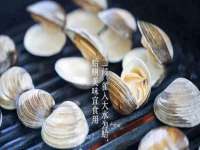 浙江君驰科技有限公司
