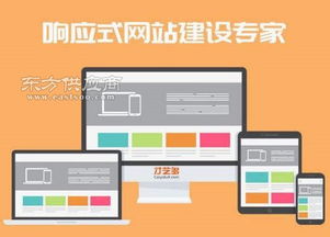 网站建设优化公司图片
