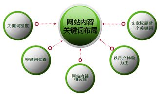 网站运营 文章编辑更新要点