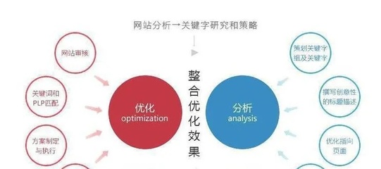 浙江专业网站优化的深度探讨与实践探索,把握技术与市场的融合发展新机遇