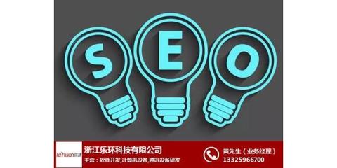 网站优化公司,乐环科技,网站优化