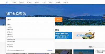 优化完善浙江政务网站点界面解读_网站入口自动跳转的网站(2024年12月精选)